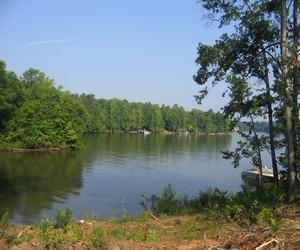 Water view2