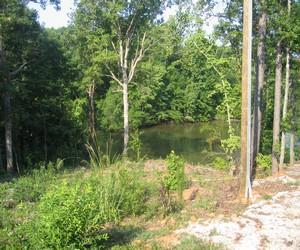 Lot view