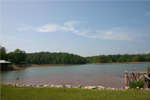 View From Yard