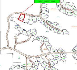 Tax assessor's map zoomed out