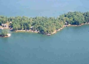 Aerial Summer View