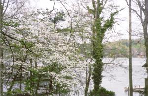 Lakeside