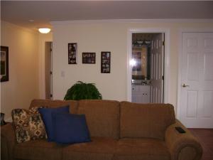 Downstair Family Room