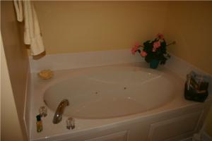 Master Jetted Tub