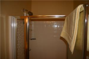 Master Shower