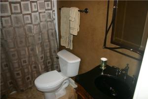 Guest Bath 2