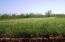 See more details about this listing.
