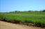 See more details about this listing.