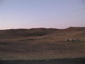 View of Property