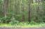 See more details about this listing.