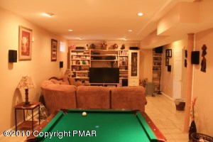 Game room/Theatre/Etc.