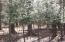 See more details about this listing.