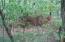 See more details about this listing.