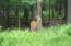 See more details about this listing.