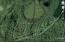 See more details about this listing.