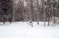 See more details about this listing.