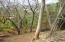 See more details about this listing.