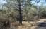 See more details about this listing.