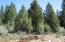 See more details about this listing.