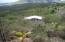 See more details about this listing.