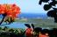 See more details about this listing.
