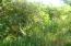 See more details about this listing.