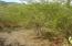 See more details about this listing.