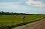 See more details about this listing.