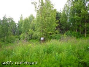 Soldotna real estate - 29090 Spruce Park Circle - Soldotna AL homes for sale