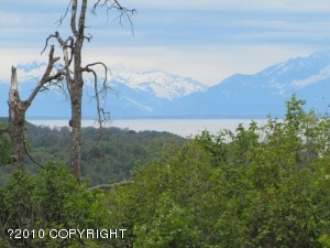 L31 B1 Golik Lane main photo Nikiski/North Kenai real estate - L31 B1 Golik Lane - Nikiski/North Kenai AL homes for sale