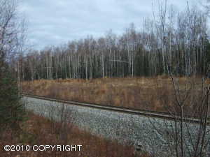 Willow real estate - A1 Off Mile 73 Parks Highway - Willow AL homes for sale