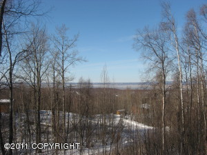 L23 B2 Homestead Road main photo Chugiak real estate - L23 B2 Homestead Road - Chugiak AL homes for sale