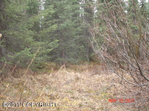 Willow real estate - C001 No Road - Willow AL homes for sale
