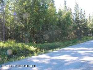 Kenai real estate - 307 Floatplane Road - Kenai AL homes for sale