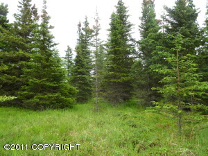 Homer real estate - 4693 Kachemak Drive - Homer AL homes for sale