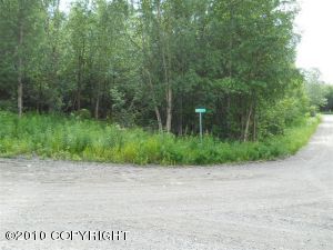 L8 B5 Martille Avenue main photo Nikiski/North Kenai real estate - L8 B5 Martille Avenue - Nikiski/North Kenai AL homes for sale