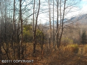 Sutton real estate - Nhn - - Sutton AL homes for sale