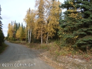 Wasilla real estate - 4487 S Betty J Street - Wasilla AL homes for sale