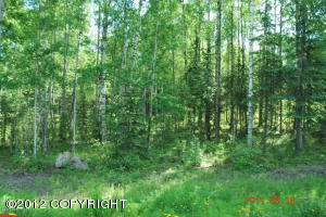 1541 S Leora Drive main photo Big Lake real estate - 1541 S Leora Drive - Big Lake AL homes for sale