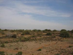Non-HOA in Dynamite Foothills D