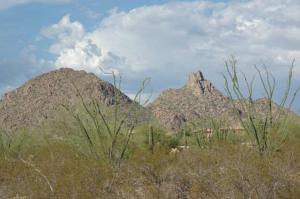 Non-HOA Pinnacle Peak Area NONE
