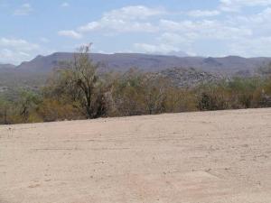 Tonto Verde 430