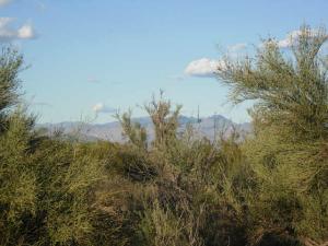 South of Rio Verde 33