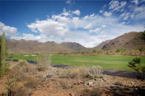 The Parks at Silverleaf 1248
