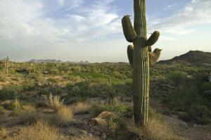 Cochise-Geronimo Village 5