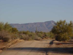 Sunrise Desert Vistas 0