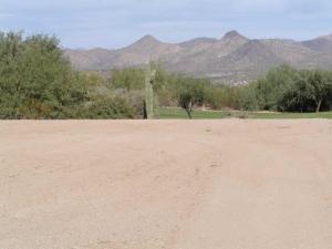 Tonto Verde 396