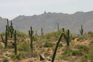 Boulder Crest Estates 19