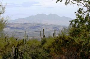 South of Rio Verde 0