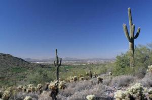 Horseshoe Canyon at Silverleaf 2408